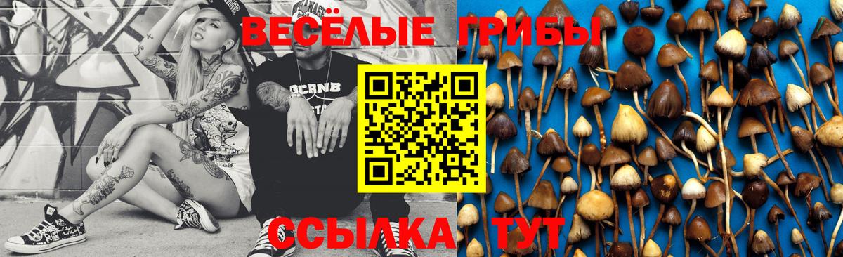 Галлюциногенные грибы MAGIC MUSHROOMS Пыть-Ях
